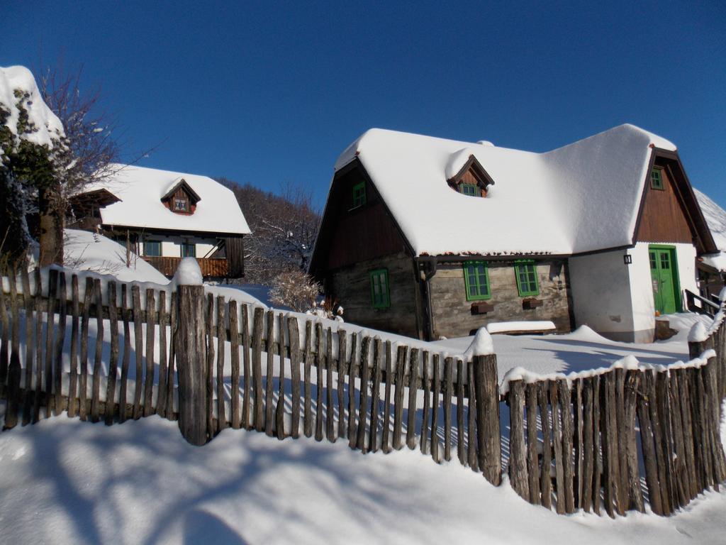 Apartmani Etno Kuca Pod Okicem Samobor Exterior photo